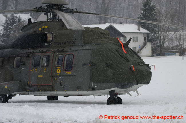 Super-puma.VIP