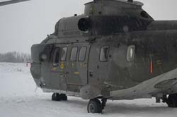 Super-puma.VIP (3)