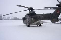 Super-puma.VIP (4)