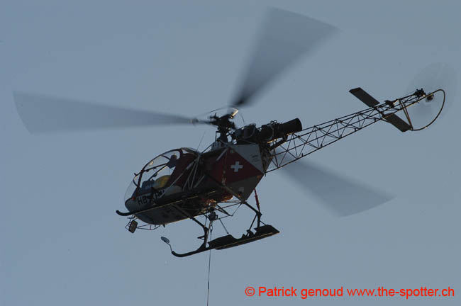 helico (6)