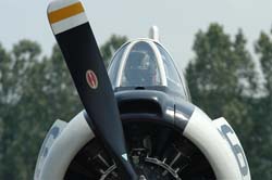 T-28 Trojan-JAF-1029