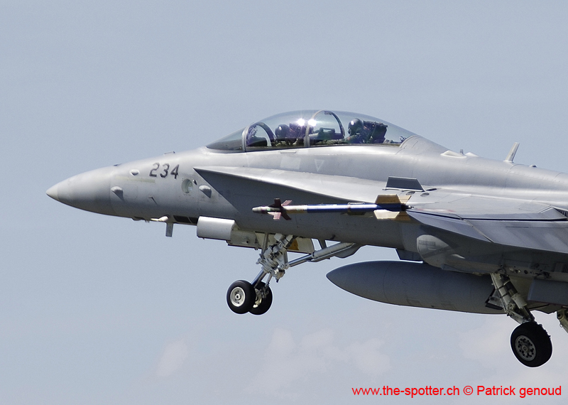Falcon VS Hornet 23-24.08101