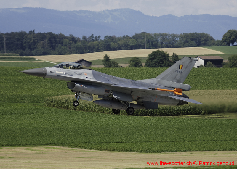 Falcon VS Hornet 23-24.08110