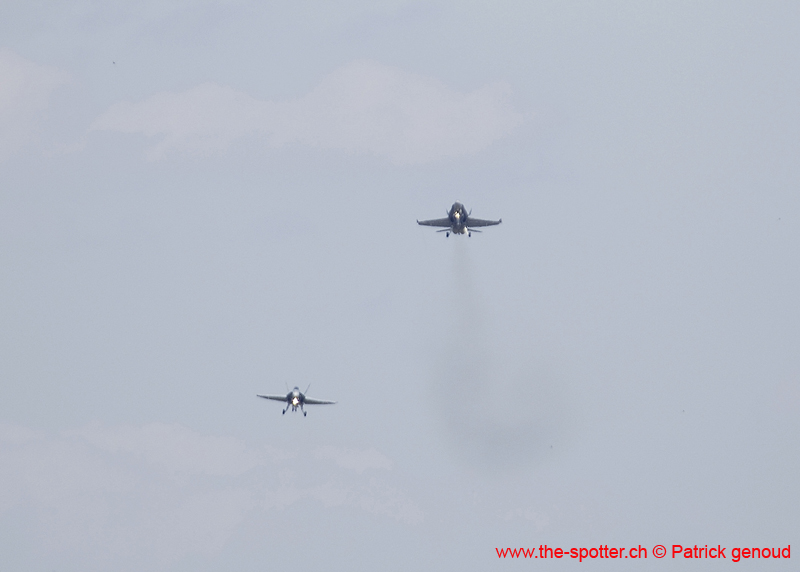 Falcon VS Hornet 23-24.08113