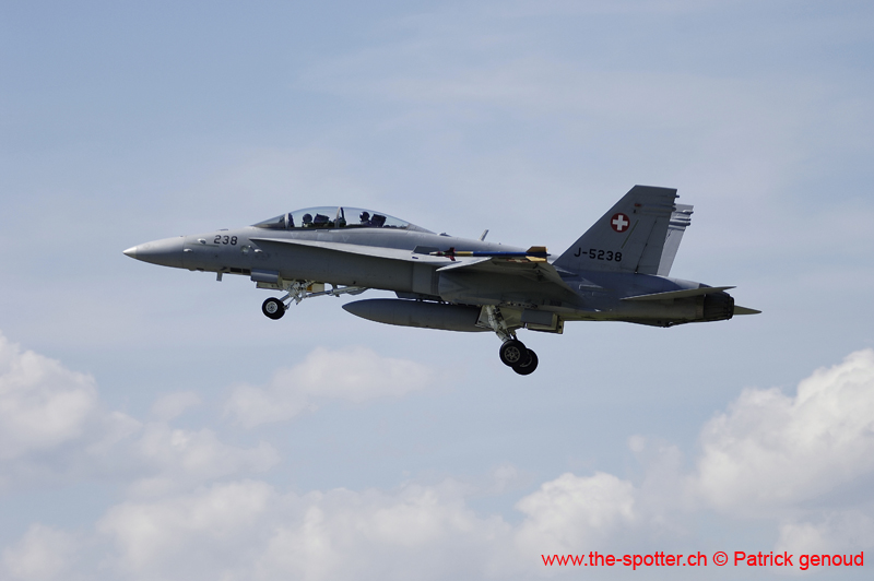 Falcon VS Hornet 23-24.08132