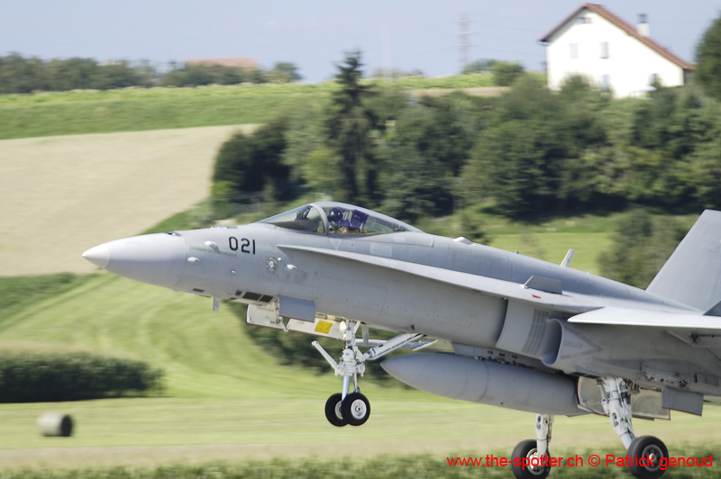 Falcon VS Hornet 23-24.08136