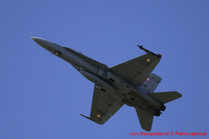 Falcon VS Hornet 23-24.08142