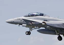 Falcon VS Hornet 23-24.08101