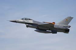 Falcon VS Hornet 23-24.08105