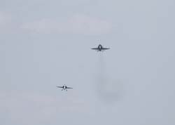 Falcon VS Hornet 23-24.08113