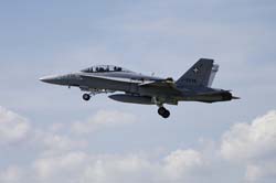 Falcon VS Hornet 23-24.08132