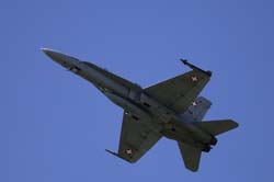 Falcon VS Hornet 23-24.08142
