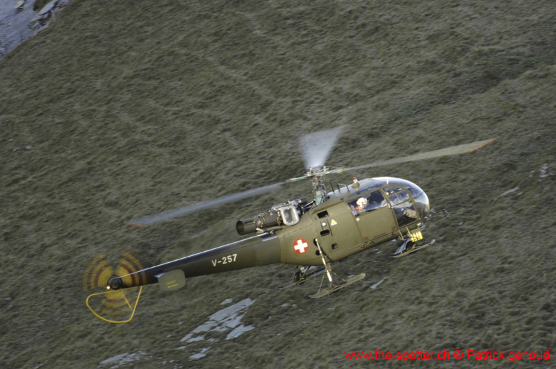 axalp 11-10-06100
