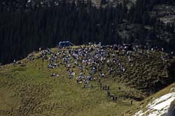 axalp 11-10-06165
