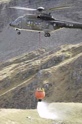axalp 11-10-06183