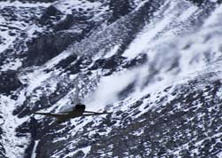 axalp 11-10-06186