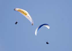 Red Bull Vertigo 103