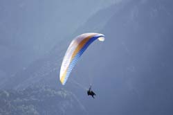 Red Bull Vertigo 106