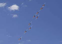 Red Bull Vertigo 138