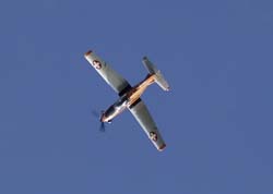 Red Bull Vertigo 164