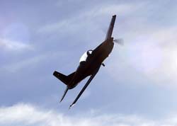 Red Bull Vertigo 175