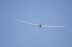 bex-31-08110