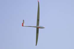 bex-31-08111
