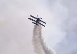 bex-31-08148