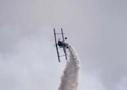 bex-31-08149