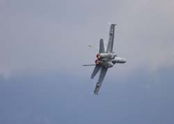 bex-31-08164