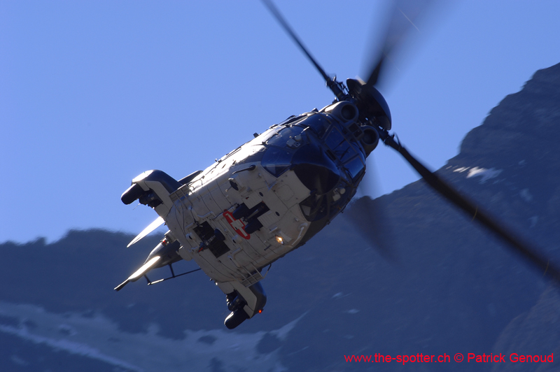 axalp204