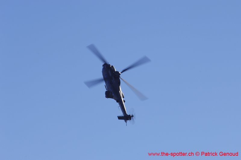 axalp206