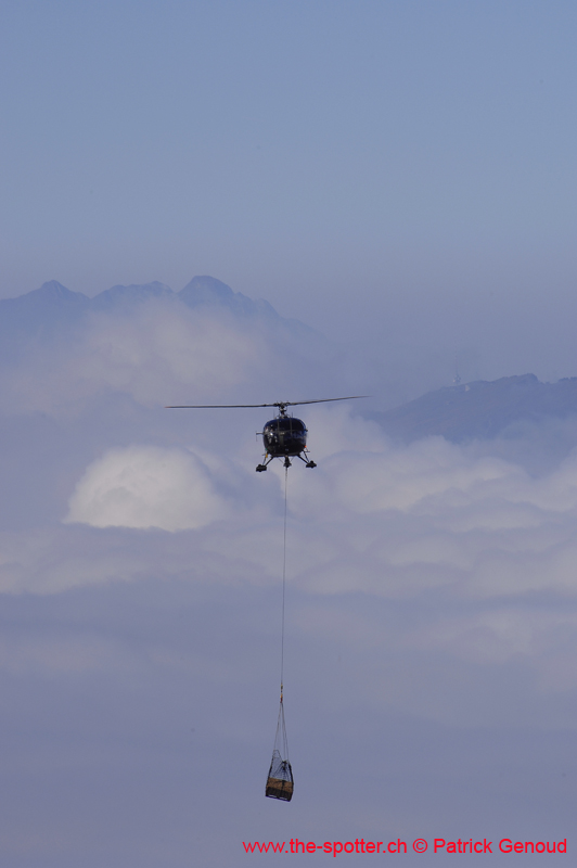 axalp233
