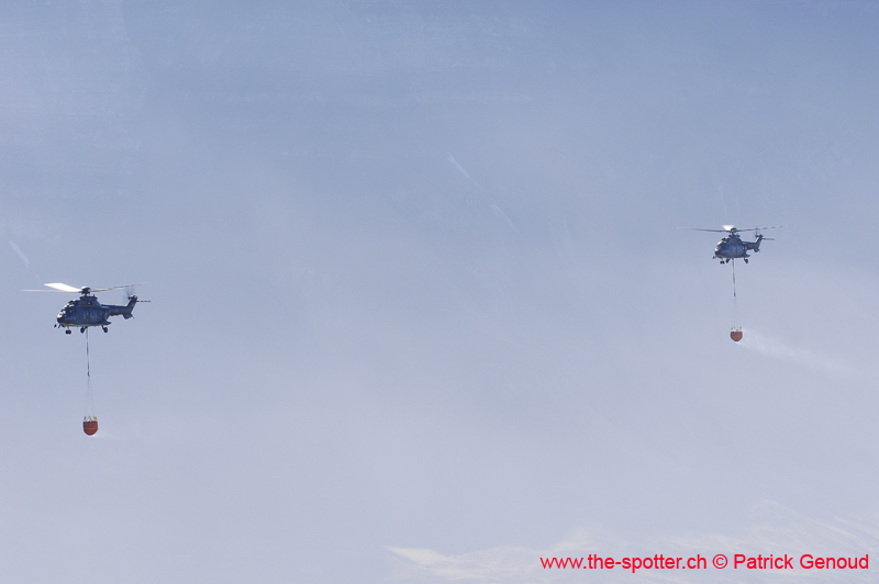 axalp257