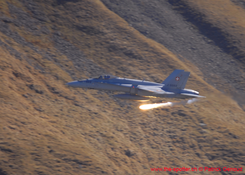 axalp294