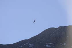 axalp124