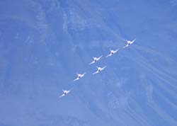 axalp165
