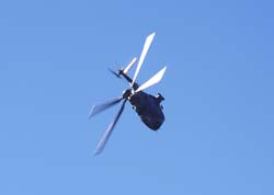 axalp199