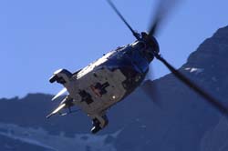 axalp204