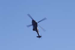 axalp206