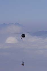 axalp233