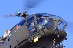 axalp236