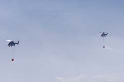 axalp257