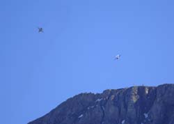 axalp269