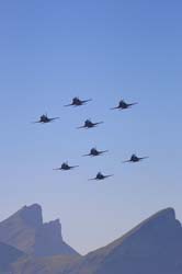 axalp270