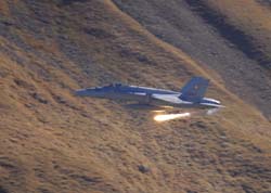 axalp294