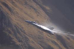 axalp299