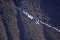 axalp300