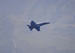 axalp319