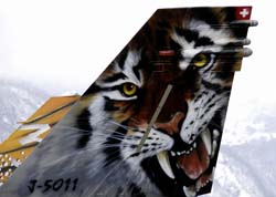 jpo meiringen 23-03-07143